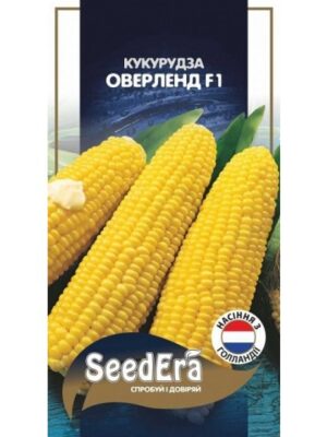 703744-540x540 Кукурудза Оверленд F1