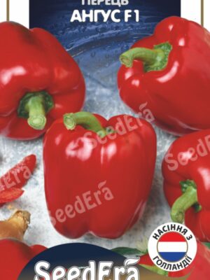 Perets-Angus-prof-G4700244_1 Перець Ангус F1