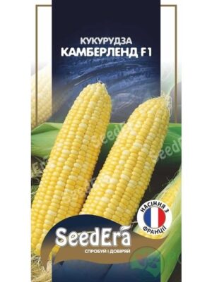 cr5wkaiiw85gehi8lqt338xzhfwf04p9 Кукурудза цукрова Камберленд F1
