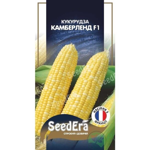 cr5wkaiiw85gehi8lqt338xzhfwf04p9 Кукурудза цукрова Камберленд F1